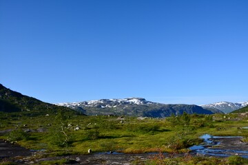 Obraz premium landscape in the summer