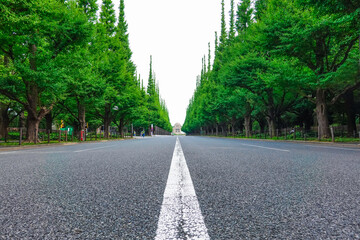 神宮外苑、絵画館前のイチョウ並木