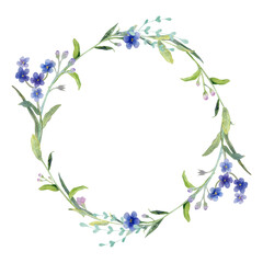 Watercolor floral wreath with blue flowers and herbs on white background. Forget-me-nots.
