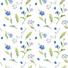 Watercolor seamless floral pattern with blue flowers and herbs on white background. Forget-me-nots.