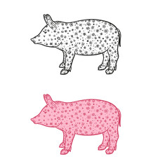 Pig on white. Hand drawn abstract animal on isolated background. Abstract ornate character. Different color options
