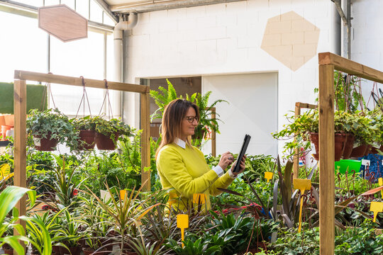 Woman browsing tablet in garden center