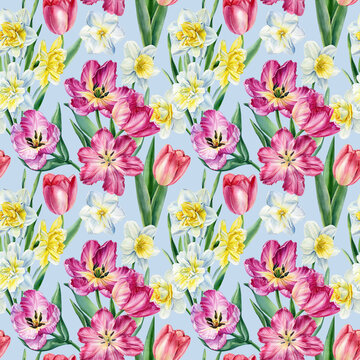 Floral background, flowers tulips, daffodils, watercolor illustration, seamless pattern