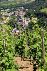 Fototapeta na wymiar Vallée du Rhône Village traditionnel Vignes vignoble du Côtes du Rhône Auvergne Rhône Alpes France