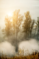 Obraz na płótnie Canvas Morning sun burning away autumn mist around trees