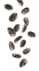 Many chia grains falling on white background, vertical banner design. Vegan diet