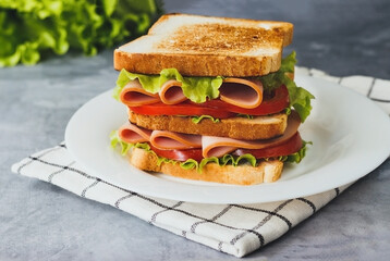 Tasty sandwich with ham, salad, ham and tomatoes on gray background