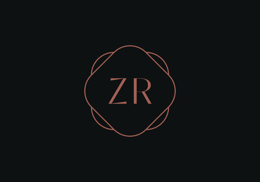 Initial letters ZR logo design template