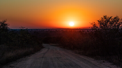 Obraz premium sunrise in Kruger national park - Africa