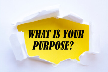 What is your purpose word written under torn paper concept.