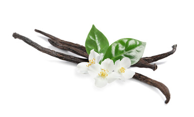 Dried aromatic vanilla sticks, beautiful flowers and green leaves on white background