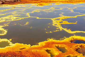 Hot Springs on Dallol Mountain in the Danakil Depression. The characteristic colors are the result of sulphur and potassium salts colored by various ions.