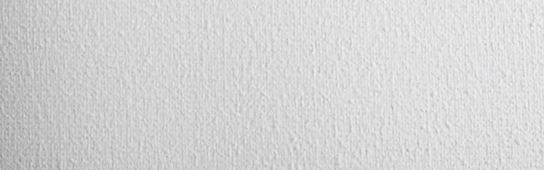 Blank white canvas as background. Horizontal banner design