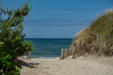 Fototapeta na wymiar Beach access through the dunes to the Baltic Sea