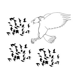 birds, vector, t-shirt design, hand drawing, unique, vintage, grunge, apparel,  trendy, print