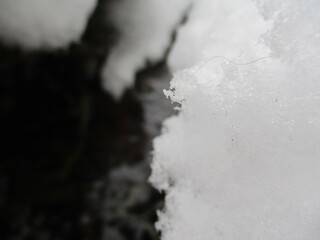 frozen snowflake next to the river