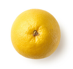 Fresh ripe white grapefruit