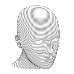Human Head in Horizontal Lines or Slices Over White Background. Three Quarters View