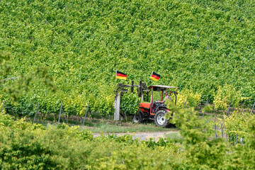 traktor im weinberg © lotharnahler