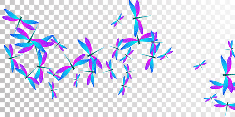 Exotic blue purple dragonfly isolated vector illustration. Summer pretty damselflies. Wild dragonfly isolated kids wallpaper. Tender wings insects graphic design. Nature beings