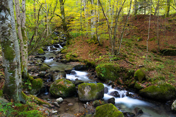 Autumn landscape, river goes through mountain forest.