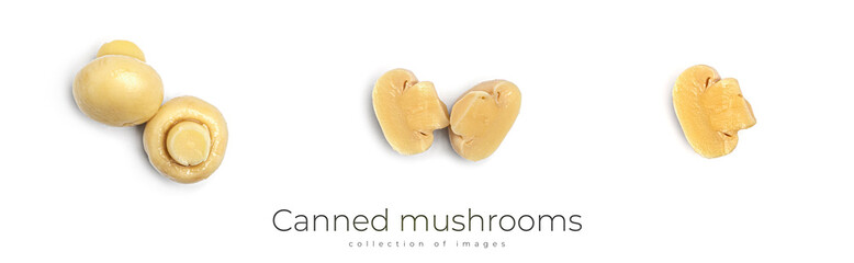 Canned mushrooms isolated on white background. Mushrooms.