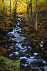 Autumn landscape, river going through mountain forest.
