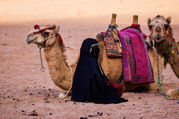 Image from the Bedouin village near Hurghada in Egypt