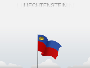 Vector illustration - Liechtenstein state flag hoisted with a stick held by hand to inflame the spirit of state