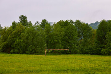 two storks sitting on a football gate somewhere in the country