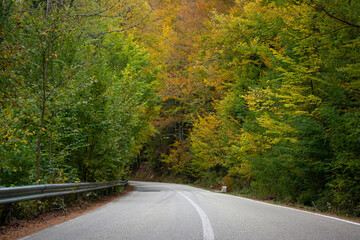 Fototapeta premium Old asphalt road in autumn forest
