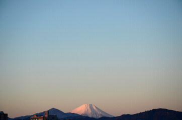 朝の富士山