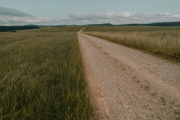 A Road in the Fields