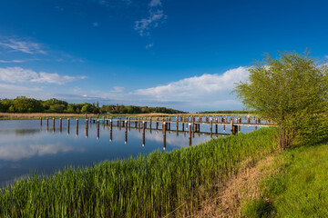 Naklejka premium Jetty in the port of Prerow, Mecklenburg-Western Pomerania (Mecklenburg-Vorpommern), Germany 