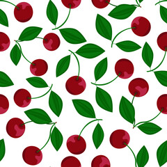  Very berry, cherries on white background. Seamless pattern, vector.