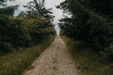 Lonely Nature Walkway