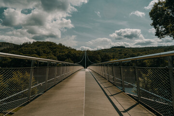 Obraz premium bridge in the forest
