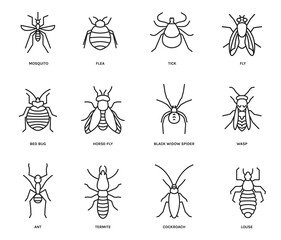 Insects icons set. Isolated editable vector illustration