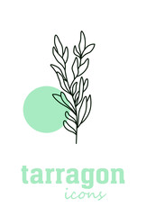 Tarragon vector flat icon. Vegetable green leaves