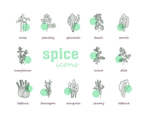 Greenery vector icon set. Vegetable green leaves