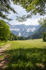 View of the mountain valley from forest with European alps. Slovenia, Jezersko.