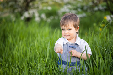 Funny little boy with blue bright eyes in overalls eating fresh green grass in a large blooming garden
