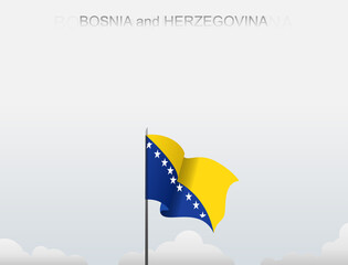 Bosnia and Herzegovina flag flutters on a pole standing tall under a white sky