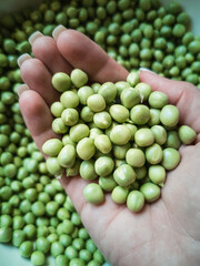 Top view of the hands holding green peas