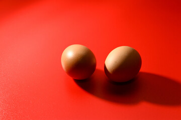 Chicken egg on red background
