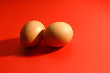 Chicken egg on red background