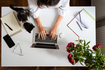Workspace with laptop, women's hands, notebook, sketchbook, walking kitten, glasses and smartphone on white background. Flat lay, top view office table desk. Freelancer working place