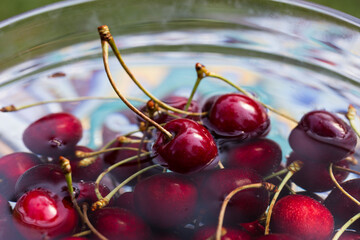 Cherries in water in glass bowl on the  garden table.