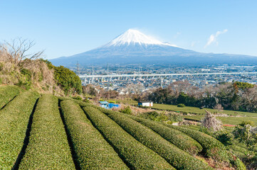 Mount Fuji with snow and green tea plantation in Yamamoto, Fujinomiya city, Shizuoka Prefecture, Japan. Aerial view of Fujinomiya city and Shin-Tomei Expressway.