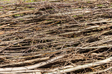 Branches and twigs. Texture. Natural background. A fence made of dry tree branches. Country style.